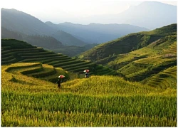 Sa Pa lọt vào top 8 điểm đến vùng núi và thị trấn nhỏ ở châu Á năm 2025