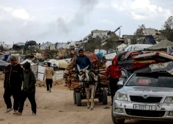 Xung đột Hamas - Israel: Nghị viện châu Âu kêu gọi công nhận Nhà nước Palestine
