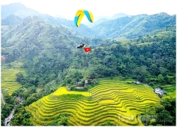 Bay trên bậc thang vàng