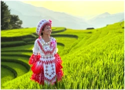 Đi đâu nếu chỉ có một ngày ở Mù Cang Chải