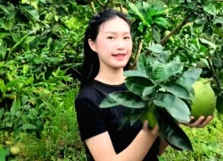 Doãn Hải My về quê Văn Hậu, cũng nấu nướng, rửa bát như bao nàng dâu khác sao lại hút tới 1,2 triệu views?