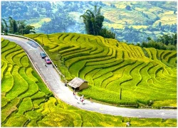 Du khách nườm nượp đổ về ngắm lúa vàng trên núi cao 2.000m