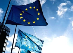 EU gia hạn trừng phạt các thực thể, cá nhân liên quan đến xung đột Ukraine