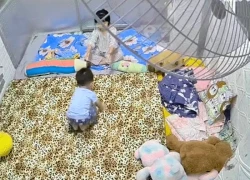 Khoảnh khắc chị cả dỗ em khóc, cộng đồng mạng khen hết lời: Đúng là "ruộng sâu trâu nái, không bằng con gái đầu lòng"