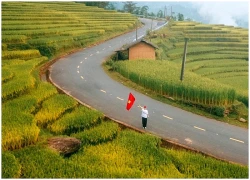 Mùa lúa đổ vàng rực ở Tây Bắc