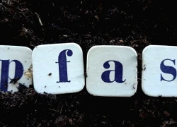 Nguy cơ ô nhiễm "hóa chất vĩnh cửu" tiếp tục gây lo ngại tại Nhật Bản