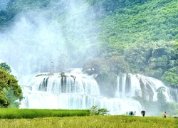 Thác Bản Giốc vào mùa đẹp nhất trong năm