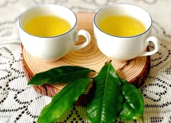 Uống trà xanh có tác dụng giảm cân và điều trị tiểu đường như thế nào?