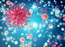 Virus RSV bùng phát nghiêm trọng tại Thái Lan