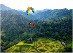 Bay dù lượn ngắm ruộng bậc thang mùa lúa chín tại Thông Nguyên, Tuyên Quang