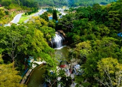 Chinh phục cung đường di sản tại Giải chạy Prenn Trail Summit 2025