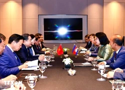 Chủ tịch Quốc hội hội kiến nhà lãnh đạo Campuchia và Timor Leste