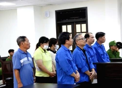 Cựu Giám đốc Trung tâm kỹ thuật tài nguyên môi trường cùng thuộc cấp lĩnh hơn 50 năm tù