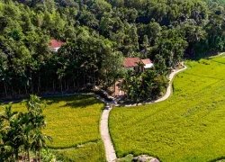 Giữ hồn xưa trong ngõ đá ở làng cổ Lộc Yên