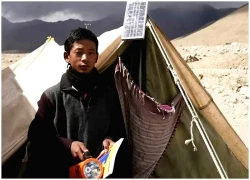 Hành trình xanh trên cao nguyên Ladakh