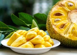 Khám phá giá trị dinh dưỡng và công dụng tuyệt vời của quả mít