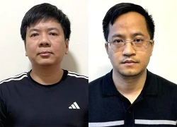 Làm rõ 342 cá nhân liên quan đến vụ án Công ty Egroup và một số đơn vị