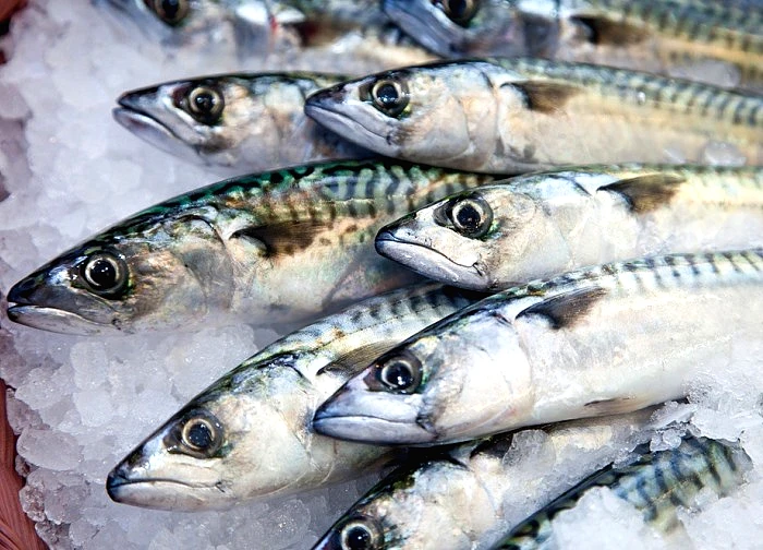 Loại cá rẻ bèo giàu omega-3 hơn cá hồi, nhiều người Việt ăn mỗi ngày