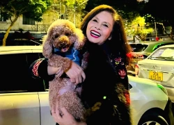 Mỹ nhân "Bến không chồng": Người đóng bom tấn Mưa đỏ, người U70 một mình