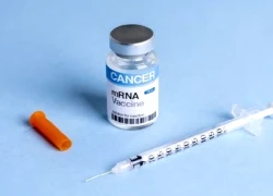 Nga không tuyên bố vaccine ung thư Enteromix sẵn sàng sử dụng