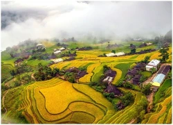 Ngắm ruộng bậc thang vào độ chín vàng ở Hoàng Su Phì