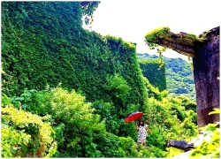 Ngôi làng bị cây xanh 'nuốt trọn' ở Trung Quốc