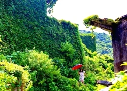 Ngôi làng bị cây xanh 'nuốt trọn' ở Trung Quốc