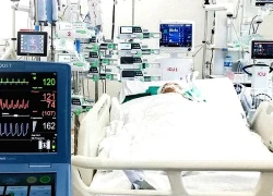 Người đàn ông ở TPHCM nguy kịch sau khi ăn hàu sống