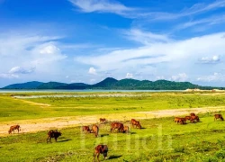 Soán ngôi Giồng Chùa, ngọn núi nào đạt quán quân nóc nhà của TP.HCM lớn