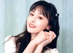 Thị phi vẫn bủa vây Trịnh Sảng