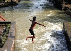 Tiểu bang Ấn Độ đối mặt với sự gia tăng số ca bệnh hiếm 'amip ăn não người'