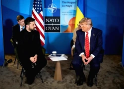 Tổng thống Mỹ và Ukraine có thể gặp nhau vào tuần tới