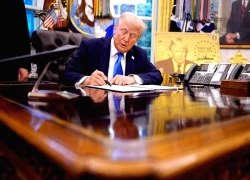 Tổng thống Trump nâng phí thị thực H-1B lên 100.000 USD