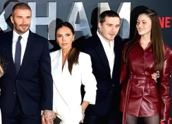Brooklyn Beckham bị xóa khỏi phim tài liệu của mẹ?