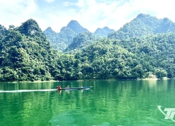 Giữ 'kho báu xanh' để phát triển du lịch
