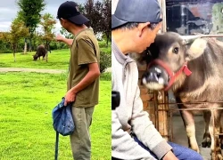 Hiện tượng người ra tù chia sẻ quá khứ trở nên nổi tiếng gây tranh cãi ở Trung Quốc