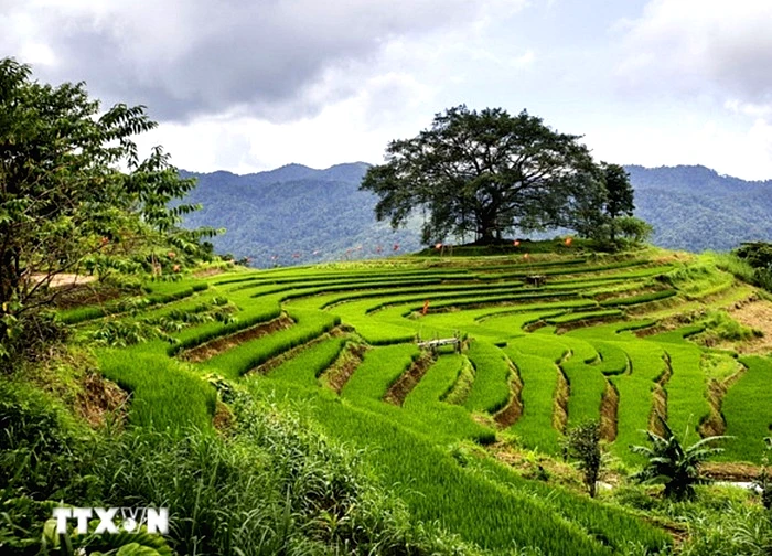 Phú Thọ: Điểm hẹn du lịch cộng đồng mới vùng Mường Thàng
