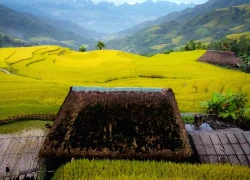 Sắp diễn ra lễ hội 'Mùa vàng Làng nhà rêu' Xà Phìn
