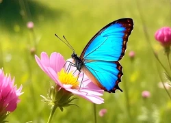 Ngày sinh Âm lịch hé lộ người giàu ý chí vươn lên, càng khó khăn càng tỏa sáng