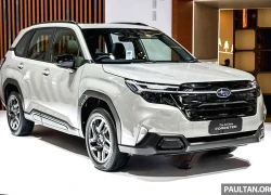 Subaru Forester 2025 về Việt Nam cuối năm nay, giá dự kiến ngang SUV cỡ D