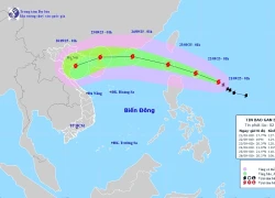 Tin mới nhất về bão Ragasa: Sắp mạnh thành siêu bão, hai kịch bản khi vào Biển Đông