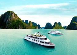 Vịnh Bái Tử Long - Tọa độ 'vàng' du lịch phía Bắc
