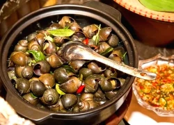 Ăn ốc: Lợi ích, tác hại và nguyên tắc an toàn