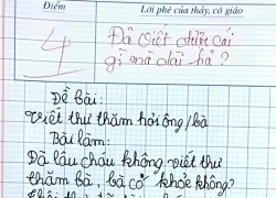 Bài văn viết thư hỏi thăm bà gây bão MXH, được 4 điểm nhưng dân mạng phán: "Không oan tí nào!"