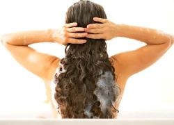 Cách gội đầu bằng nước lá tía tô để ngăn rụng tóc