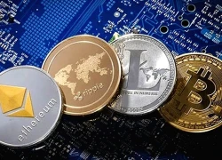Châu Âu triệt phá đường dây lừa đảo tiền điện tử