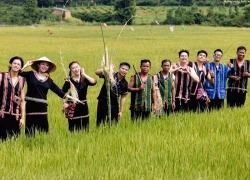 Chương trình thực tế 'Gia đình Haha' có tiếp tục?