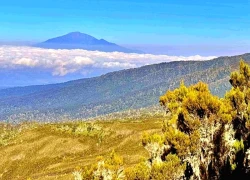 Đường lên đỉnh Kilimanjaro: Lời thì thầm từ "Nóc nhà châu Phi"