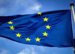 EU cân nhắc tạm hoãn áp dụng một số quy định trong Đạo luật AI