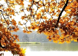 Hà Nội lọt top điểm ngắm lá mùa thu đẹp nhất châu Á